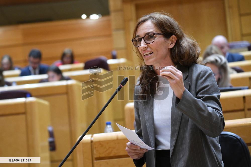 Government Faces Economic Questions in Senate - Madrid