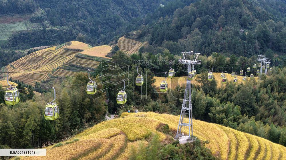 Longji Rice Terraces - China