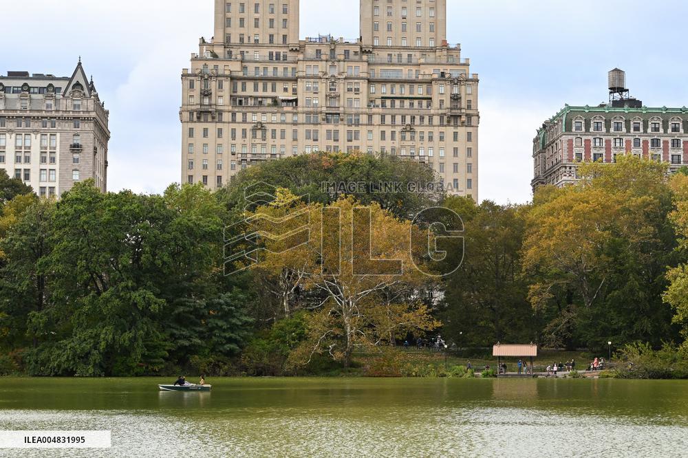 Illustration - New York City