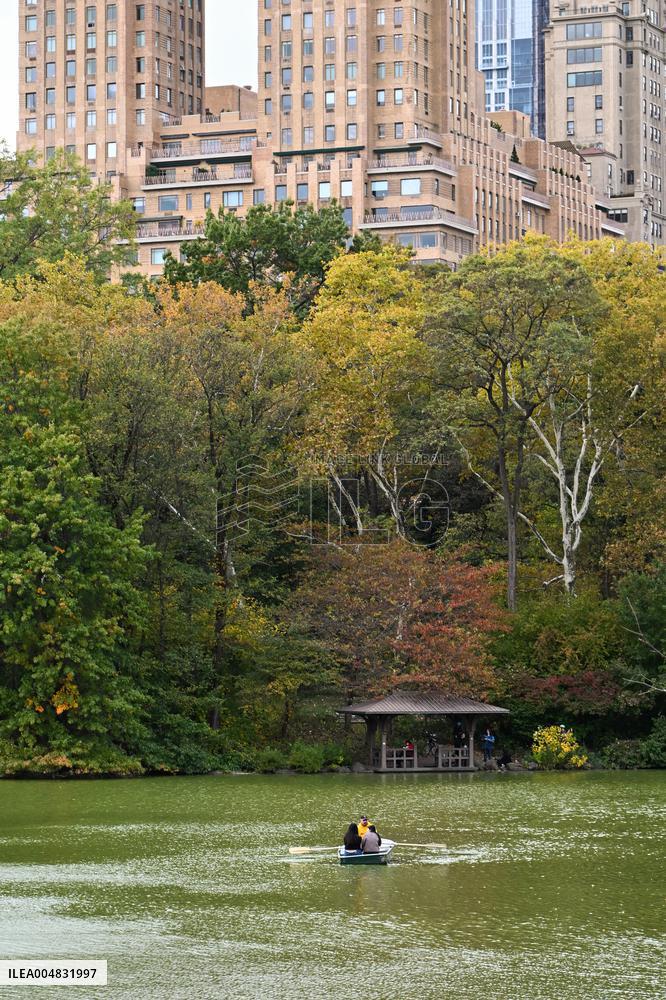 Illustration - New York City