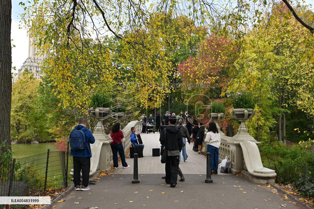 Illustration - New York City