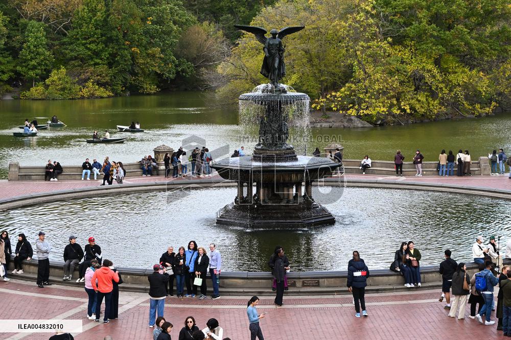 Illustration - New York City