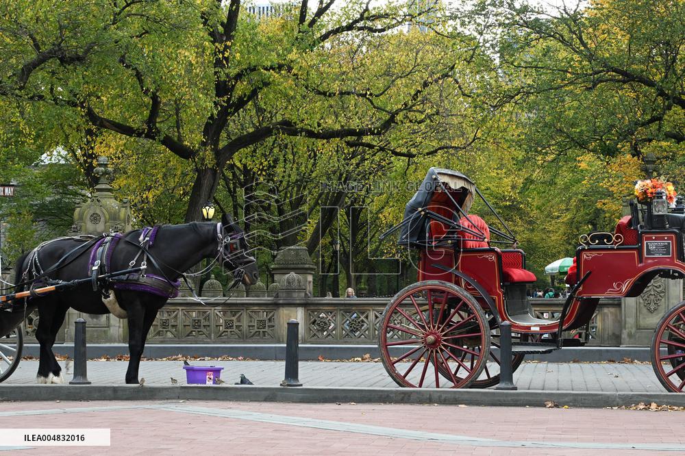 Illustration - New York City