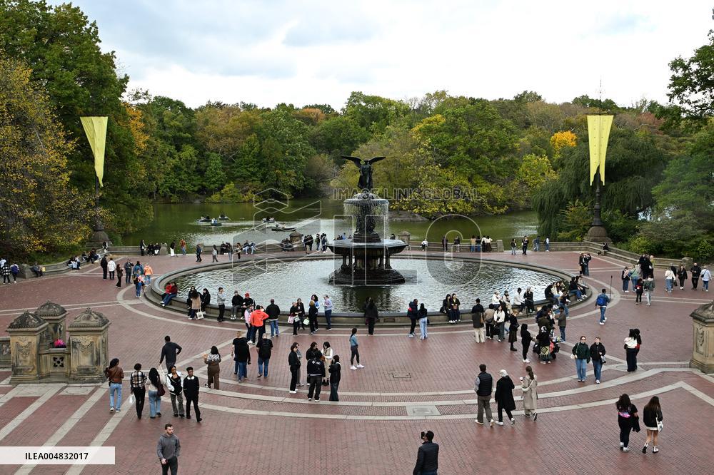 Illustration - New York City