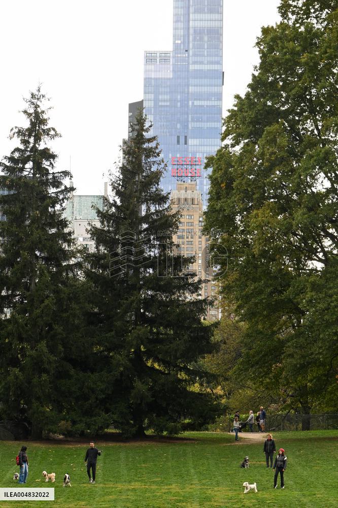 Illustration - New York City