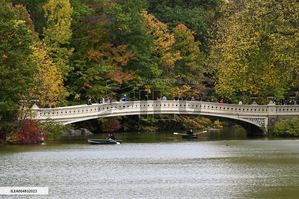 Illustration - New York City