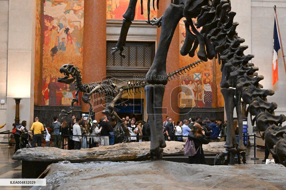 Illustration - New York City