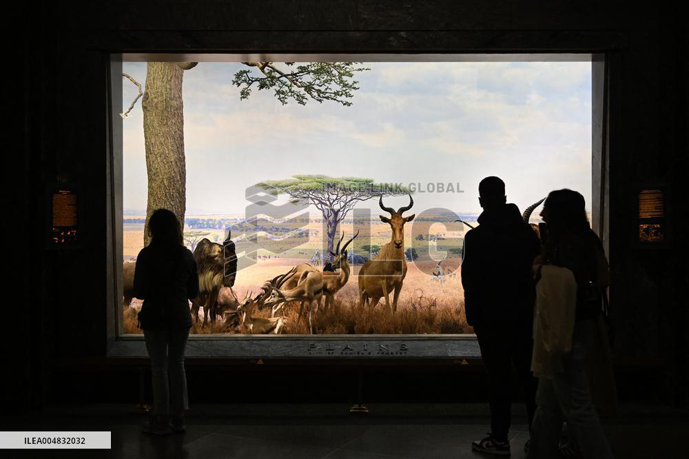 Illustration - New York City