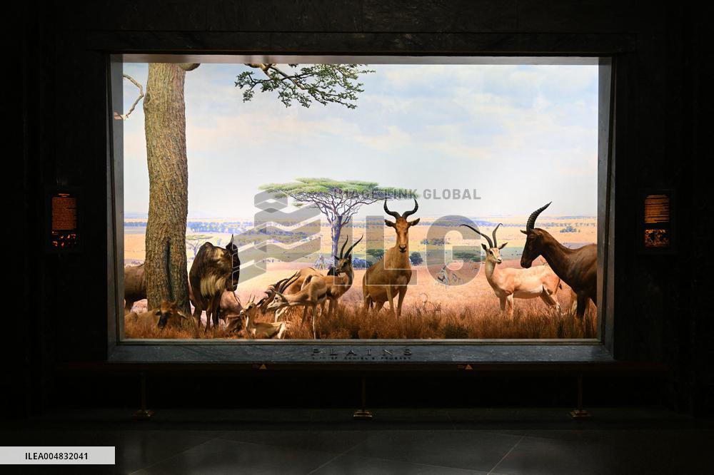 Illustration - New York City