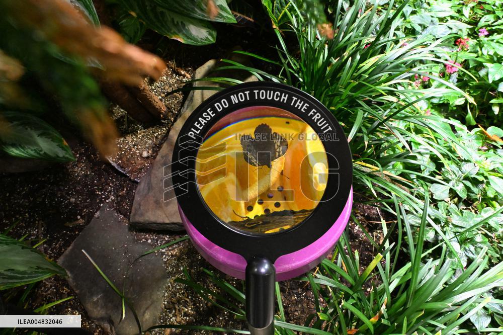 Illustration - New York City