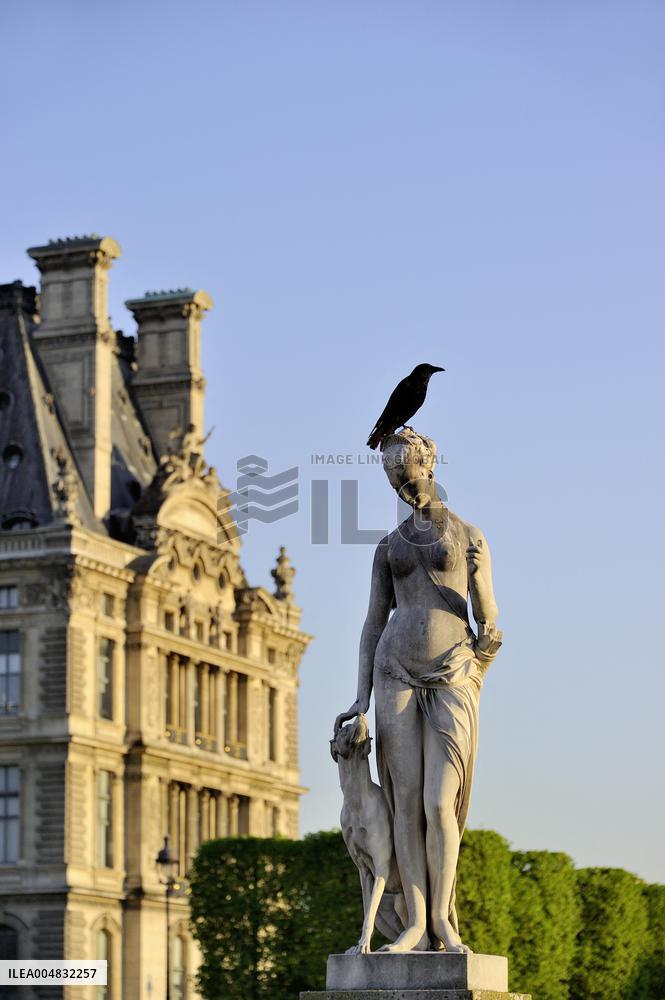 Illustration - Louvre - Paris