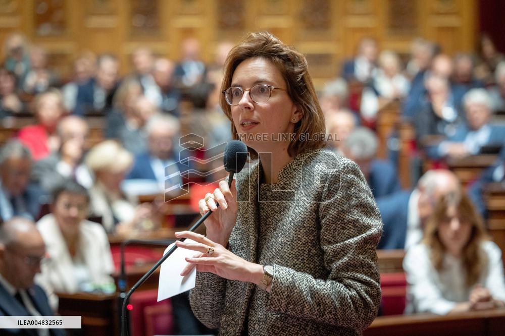 Session of questions to the government at The French Senate - Paris AJ