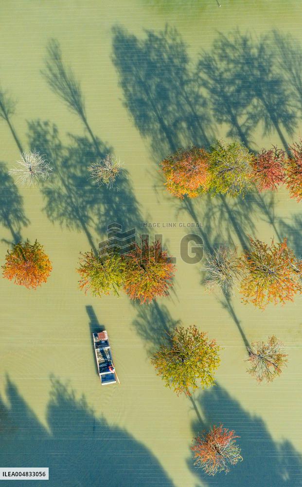Water Fir Forest Crab Breeding Base in Suqian