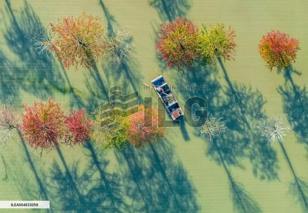 Water Fir Forest Crab Breeding Base in Suqian