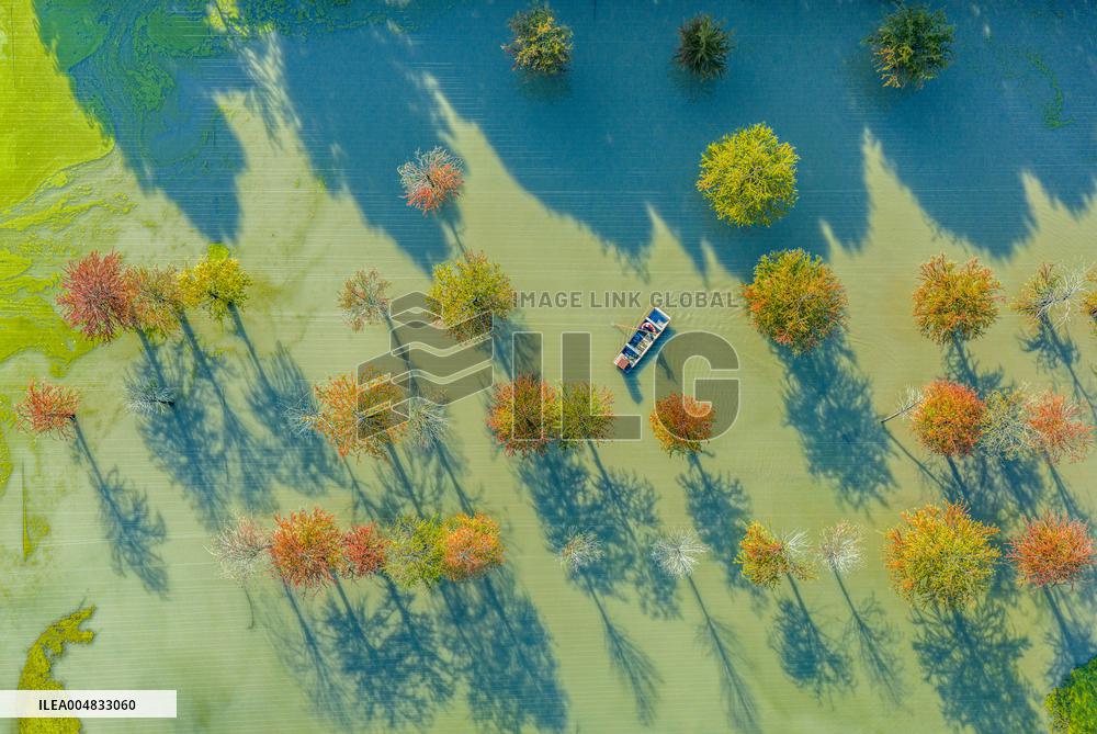 Water Fir Forest Crab Breeding Base in Suqian