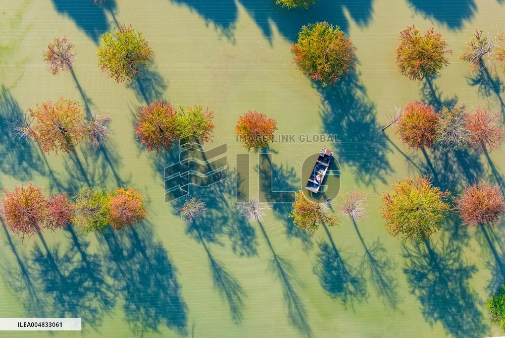 Water Fir Forest Crab Breeding Base in Suqian