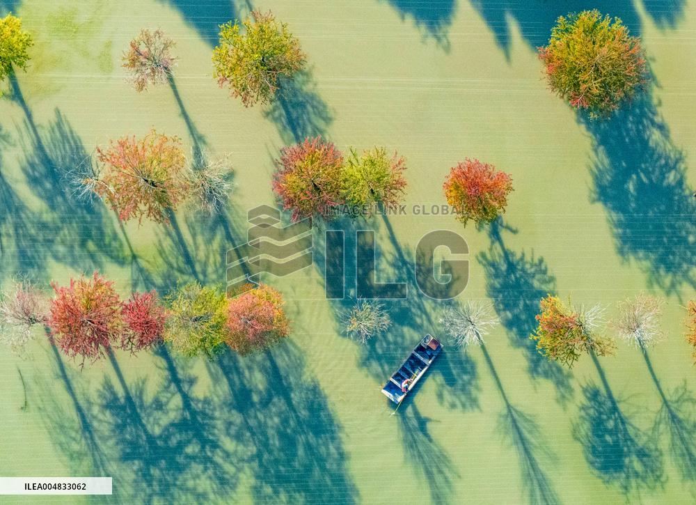 Water Fir Forest Crab Breeding Base in Suqian