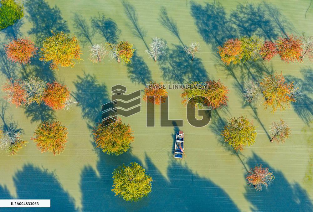 Water Fir Forest Crab Breeding Base in Suqian