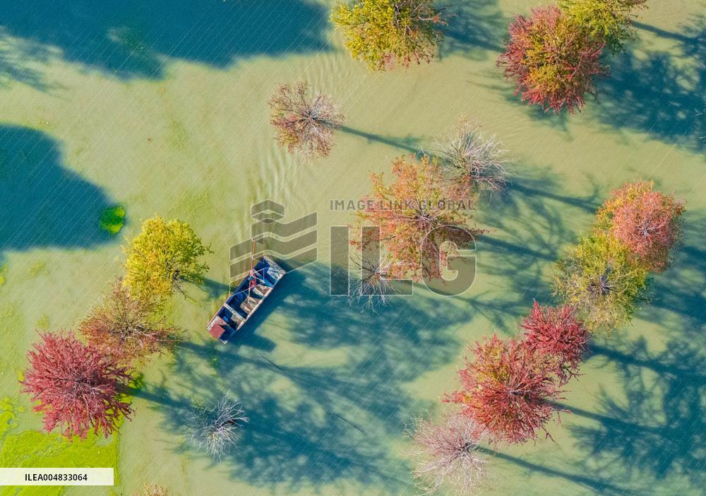 Water Fir Forest Crab Breeding Base in Suqian