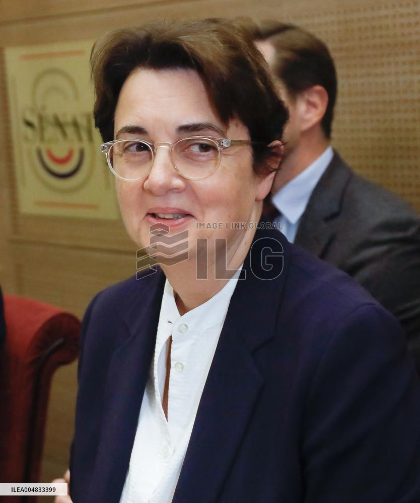 Senat audition de  Laurence des Cars Directrice generale du musee du Louvre apres le cambriolage du siecle