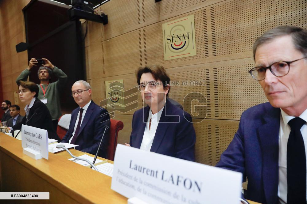 Senat audition de  Laurence des Cars Directrice generale du musee du Louvre apres le cambriolage du siecle