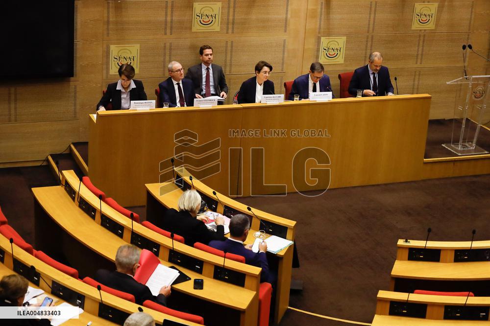 Senat audition de  Laurence des Cars Directrice generale du musee du Louvre apres le cambriolage du siecle