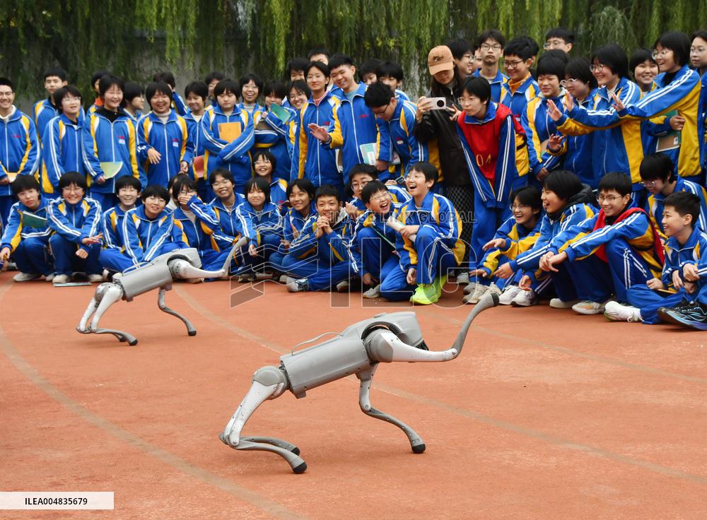 AI Popularization in Schools