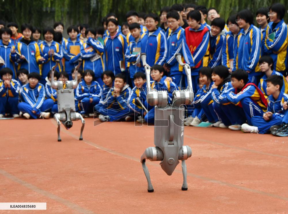 AI Popularization in Schools