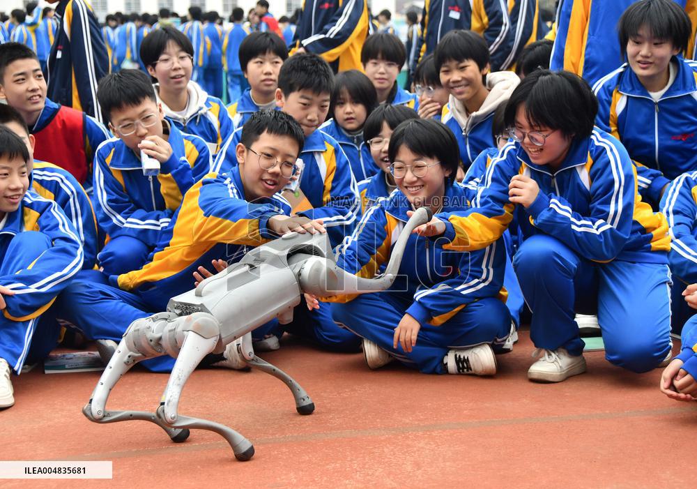 AI Popularization in Schools