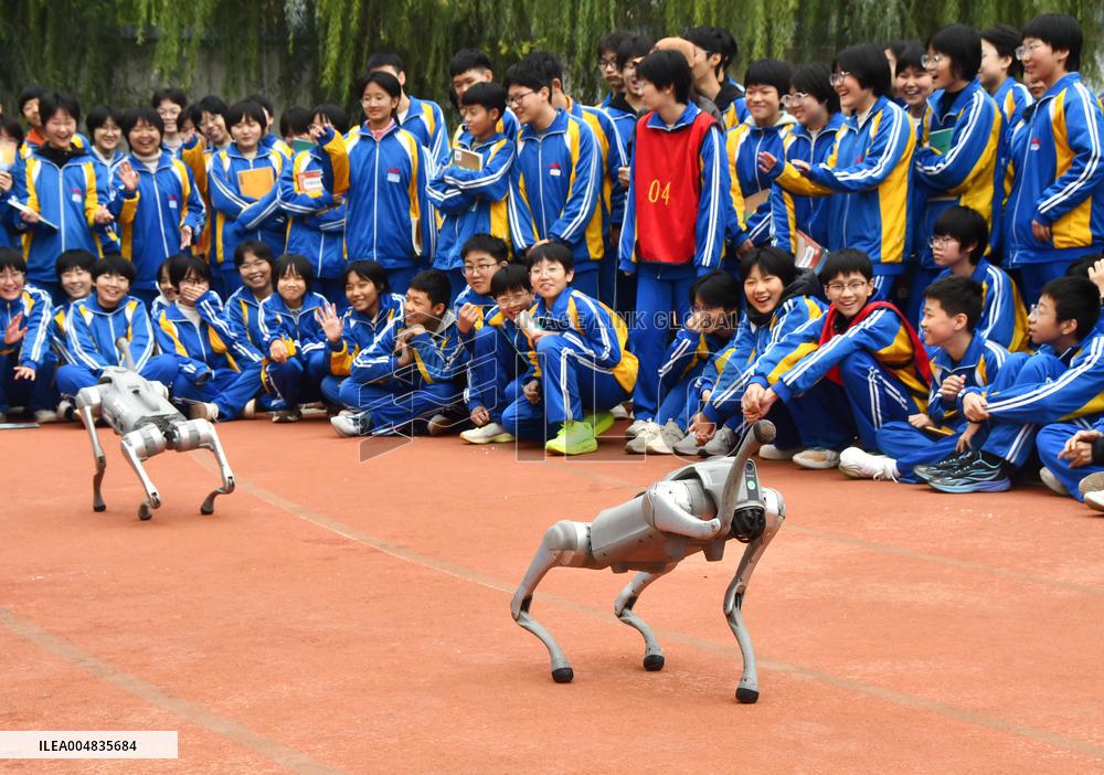 AI Popularization in Schools