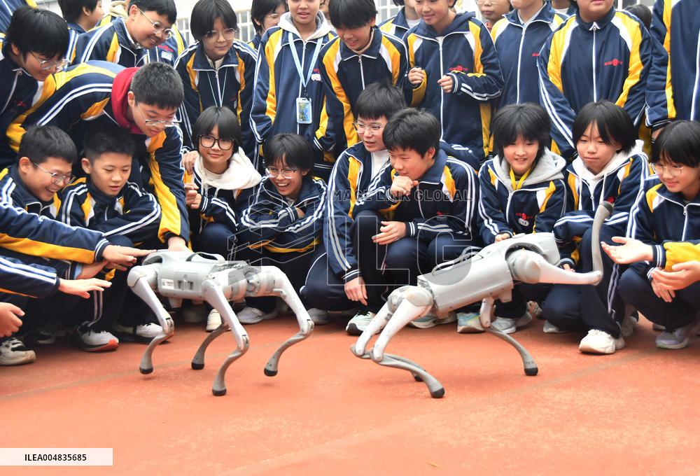 AI Popularization in Schools