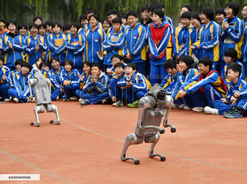 AI Popularization in Schools