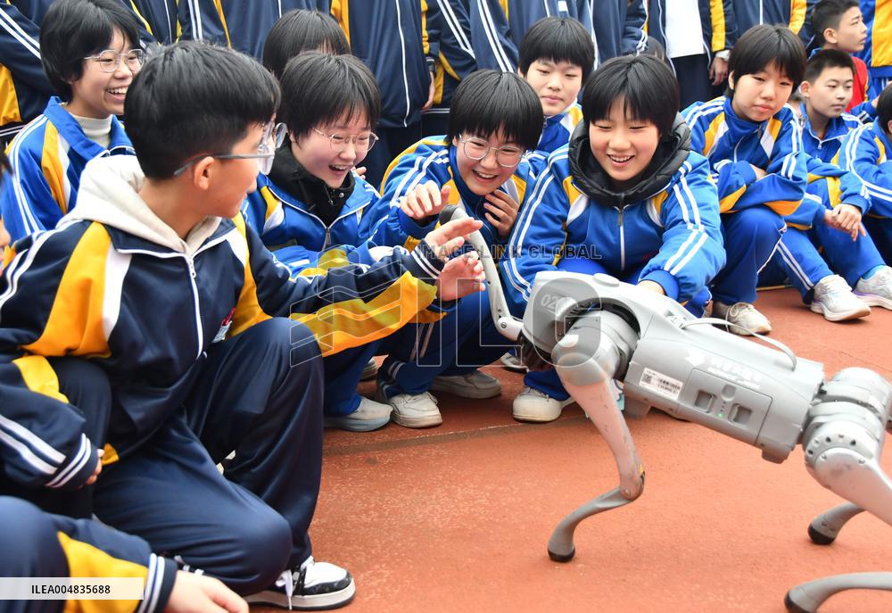 AI Popularization in Schools