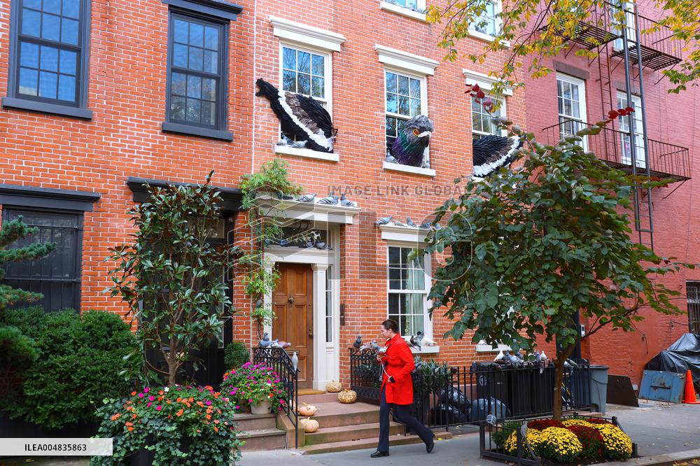 Pigeon House in The West Village - NYC