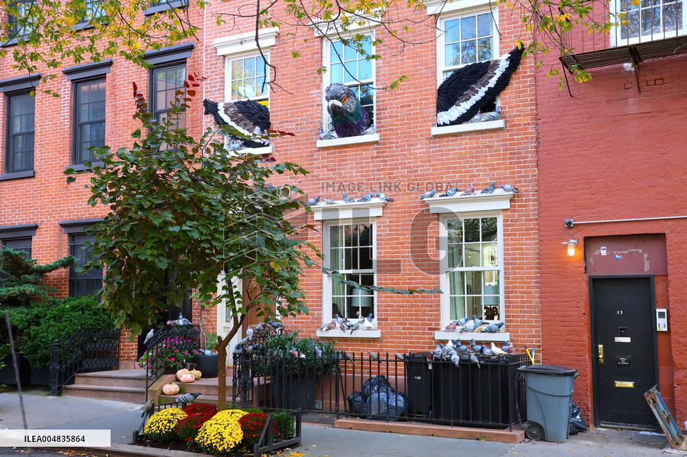 Pigeon House in The West Village - NYC