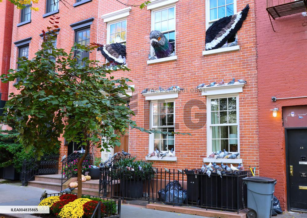 Pigeon House in The West Village - NYC