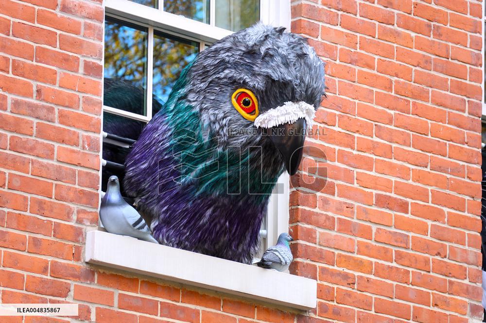 Pigeon House in The West Village - NYC