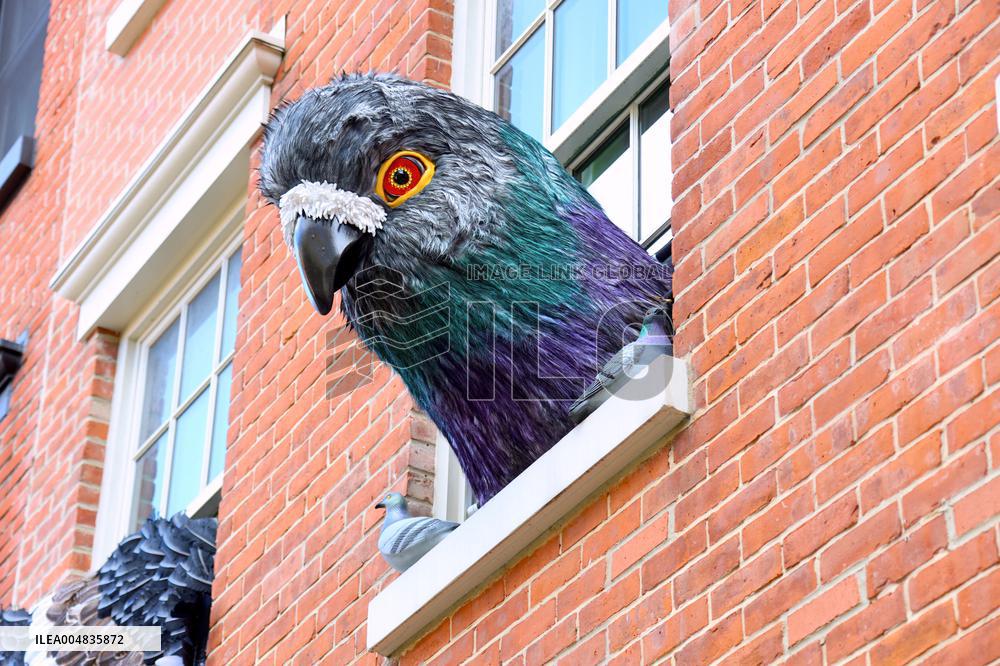 Pigeon House in The West Village - NYC