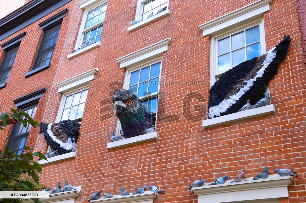 Pigeon House in The West Village - NYC