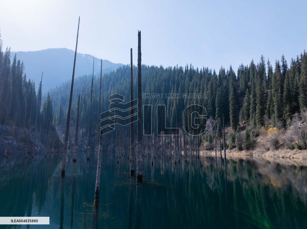 The Inverted Forests Of Lake Kaindy - Kazakhstan