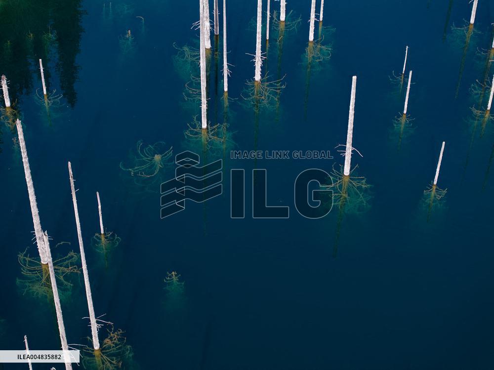 The Inverted Forests Of Lake Kaindy - Kazakhstan