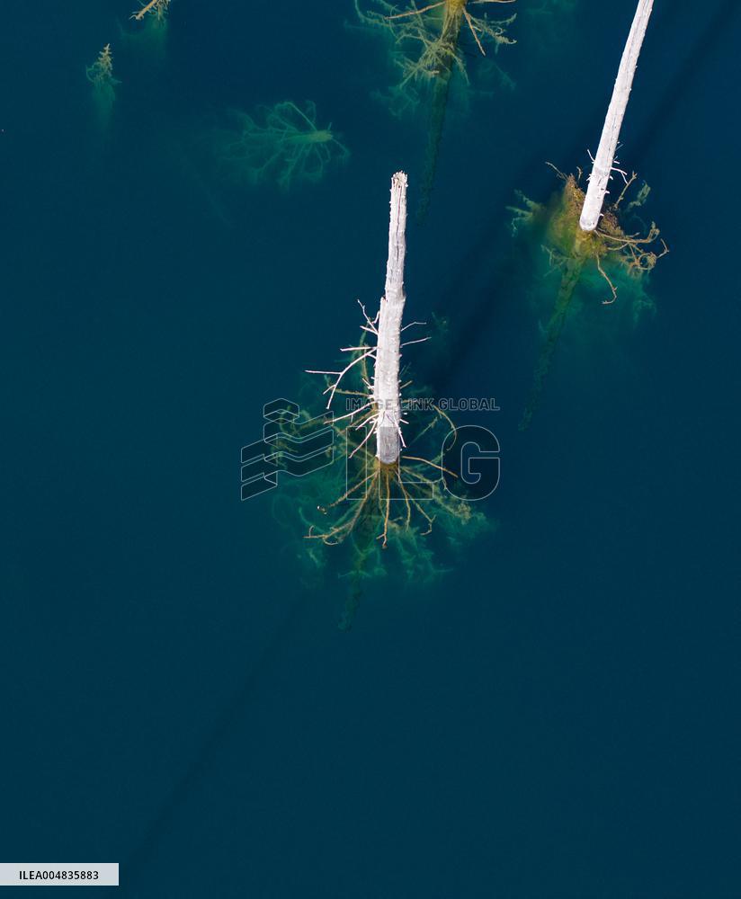 The Inverted Forests Of Lake Kaindy - Kazakhstan