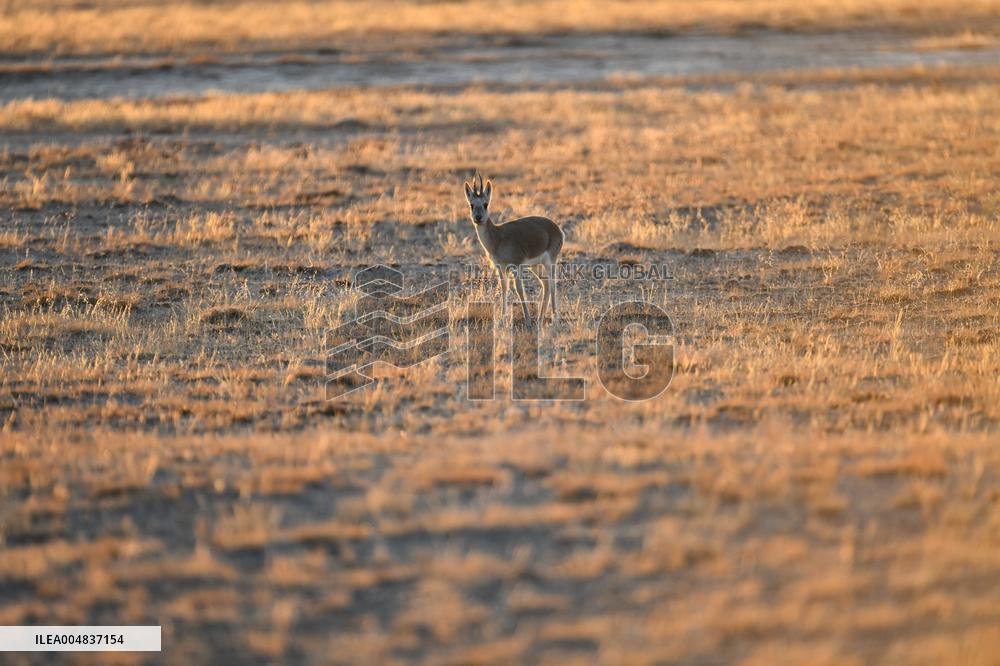 Autumn Scenery Season Illustrations - China