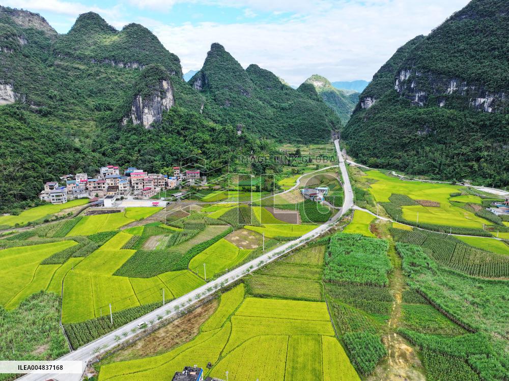 Autumn Scenery Season Illustrations - China