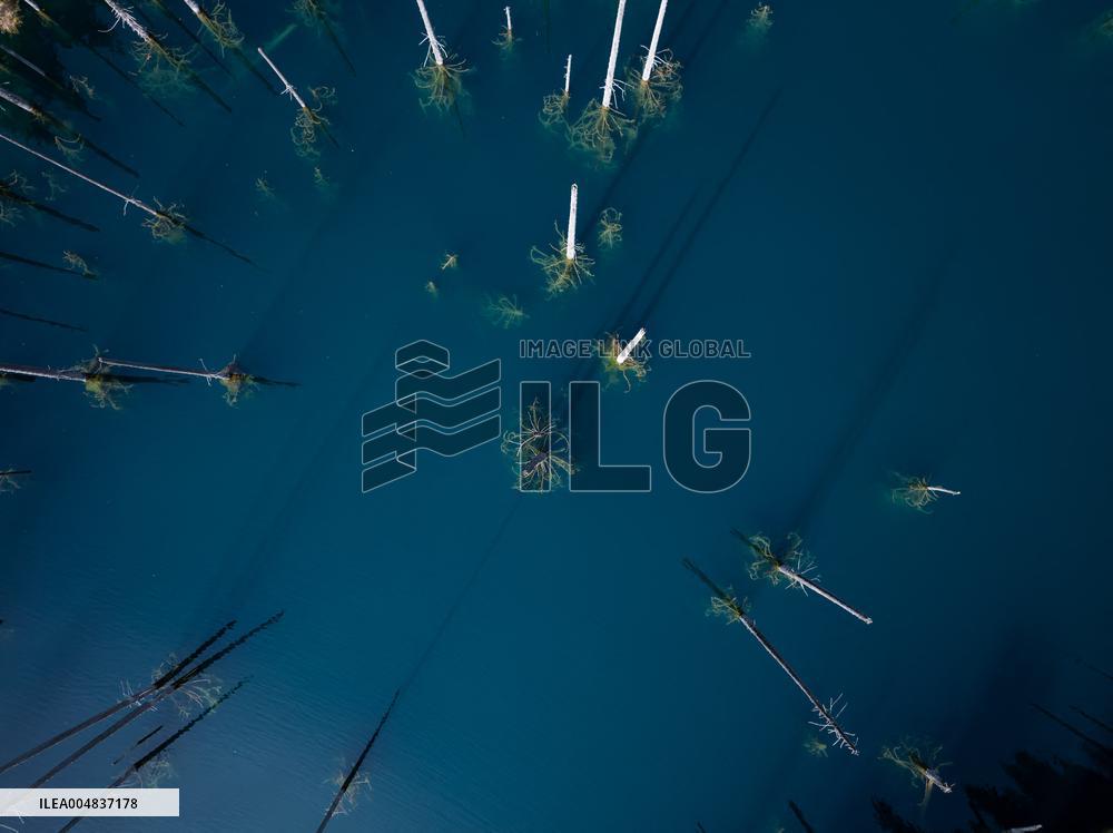 Inverted Forests of Lake Kaindy - Kazakhstan