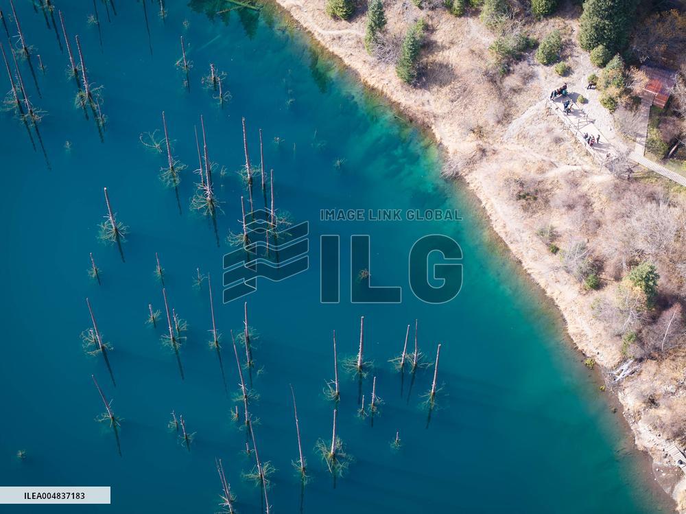Inverted Forests of Lake Kaindy - Kazakhstan