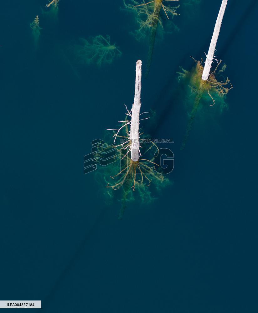 Inverted Forests of Lake Kaindy - Kazakhstan