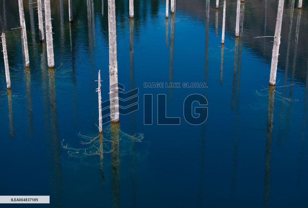 Inverted Forests of Lake Kaindy - Kazakhstan