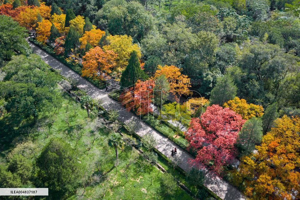 Autumn Scenery Season Illustrations - China