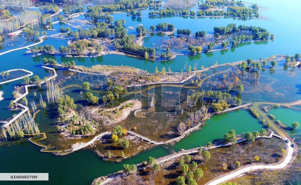 Autumn Scenery Season Illustrations - China